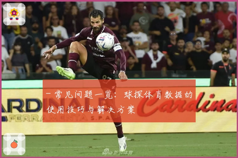 - 常见问题一览：球探体育数据的使用技巧与解决方案