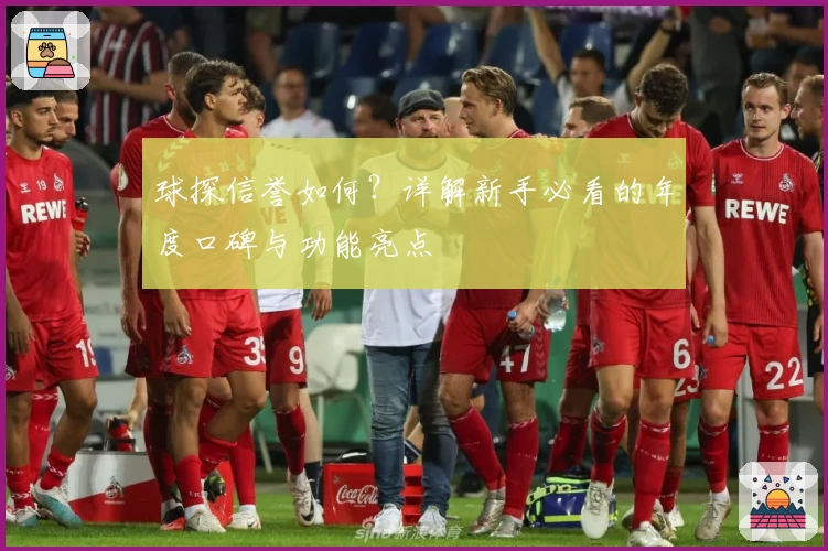 球探信誉如何？详解新手必看的年度口碑与功能亮点